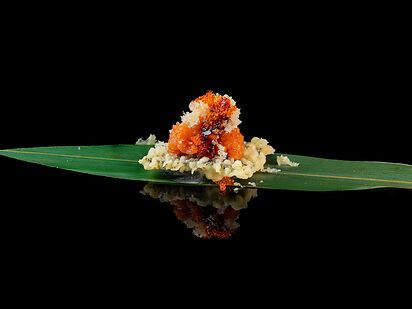 NORI MAGURO